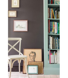 Farrow & Ball Échantillon TANNERS BROWN   255 - 100ml