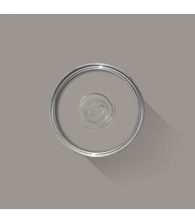 Farrow & Ball Échantillon WORSTED 284 - 100ml