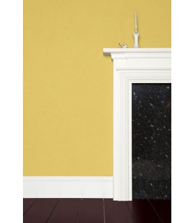 Farrow & Ball Échantillon YELLOW GROUND   218 - 100ml