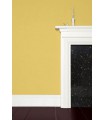 Farrow & Ball Échantillon YELLOW GROUND   218 - 100ml
