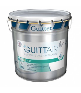 Guittet Guitt'Air Mat Peinture Assainissante Murs et Plafonds