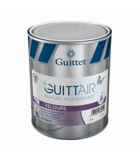 Guittet Guitt'Air Velours Peinture Assainissante Murs