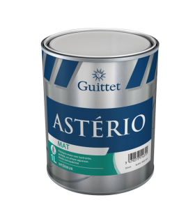 Guittet Asterio Mat peinture murs et plafonds entretien facile