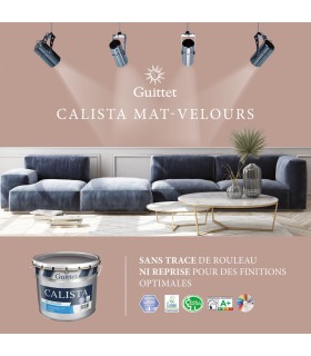 Guittet Calista Peinture Mat-Velours Impression et Finition Murs et Plafonds – Haute Performance
