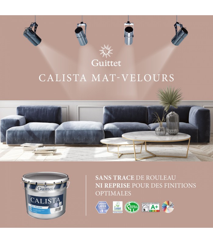 Guittet Calista Peinture Mat-Velours Impression et Finition Murs et Plafonds – Haute Performance