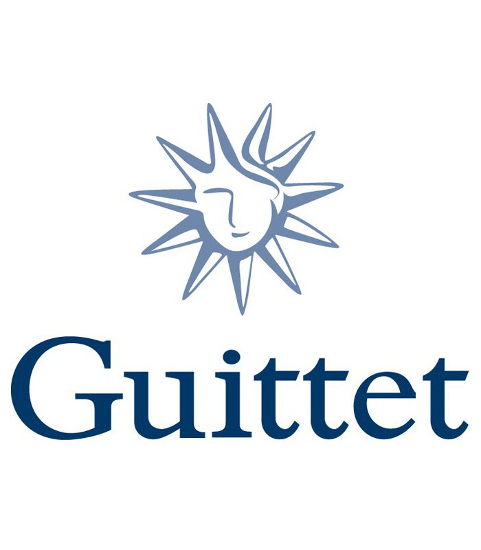 Guittet Façadex mat peinture protection façades neuves ou anciennes