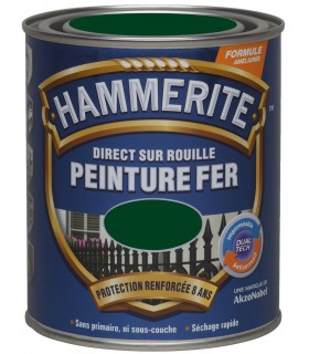 Hammerite Peinture fer Direct sur rouille Brillant
