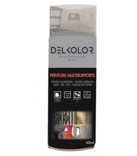Delkolor Peinture Multisupports en Aérosol Incolore 400ml