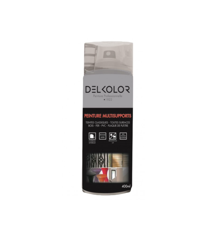 Delkolor Peinture Multisupports en Aérosol Incolore 400ml