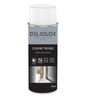 Delkolor Peinture couvre-taches rénovation en aérosol 400 ml