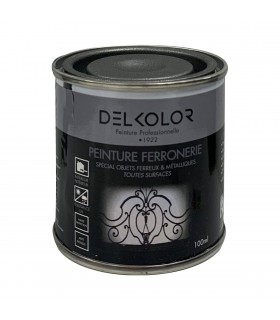 Delkolor Peinture Spéciale Ferronnerie - 100ml