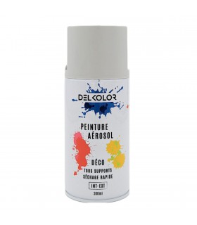 Delkolor Peinture en Aérosol Tous Supports