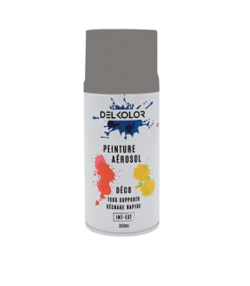 Delkolor Peinture en Aérosol Tous Supports