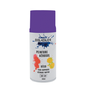 Delkolor Peinture en Aérosol Tous Supports - 300ml