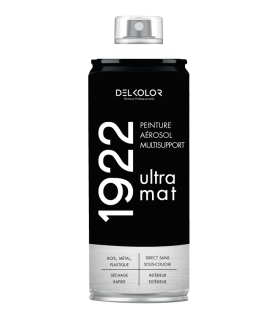 Delkolor 1922 peinture multi-support aérosol mat 400 ml