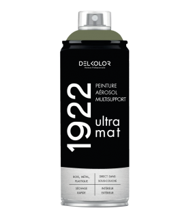 Delkolor 1922 peinture multi-support aérosol mat 400 ml