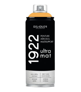 Delkolor 1922 peinture multi-support aérosol mat 400 ml