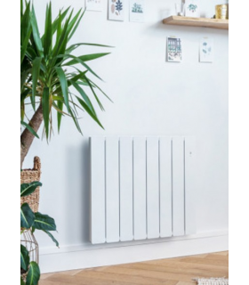 Delkolor Peinture Spéciale Radiateur en Aérosol 400ml