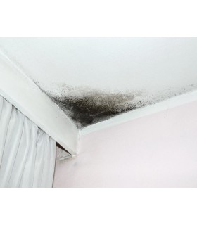 Delkolor Peinture Couvre Taches Spécial Rénovation en Aérosol - 400ml