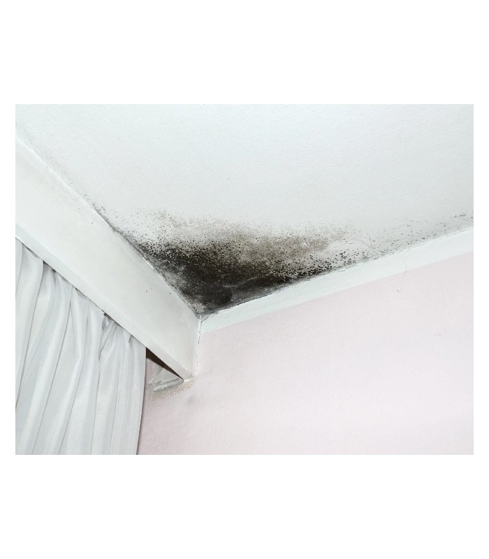 Delkolor Peinture Couvre Taches Spécial Rénovation en Aérosol - 400ml