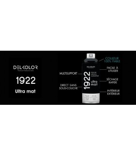 Delkolor 1922 peinture multi-support aérosol mat 400 ml