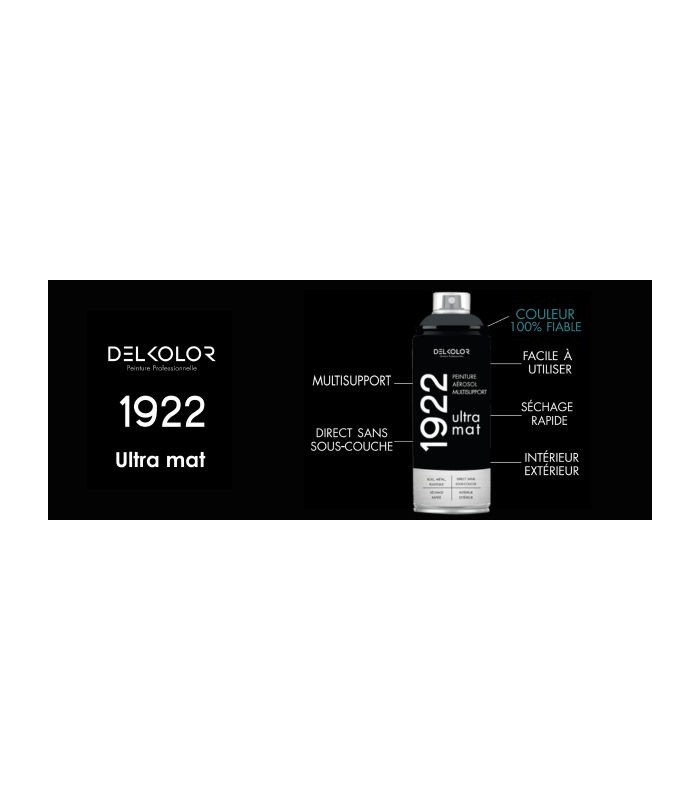 Delkolor 1922 peinture multi-support aérosol mat 400 ml