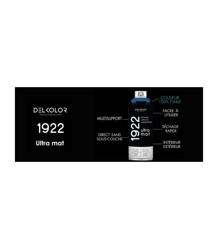 Delkolor 1922 peinture multi-support aérosol mat 400 ml