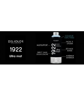 Delkolor 1922 peinture multi-support aérosol mat 400 ml
