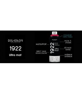 Delkolor Peinture Multi Supports Aérosol Mat 1922 - 400 ml