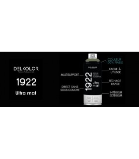 Delkolor 1922 peinture multi-support aérosol mat 400 ml