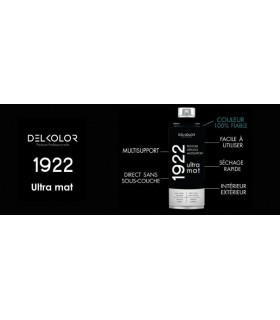Delkolor 1922 peinture multi-support aérosol mat 400 ml
