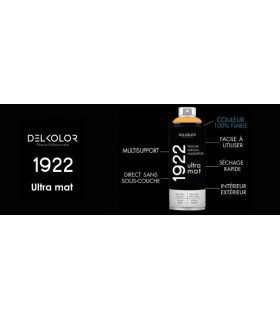 Delkolor Peinture Multi Supports Aérosol Mat 1922 - 400 ml