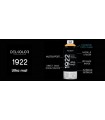 Delkolor Peinture Multi Supports Aérosol Mat 1922 - 400 ml