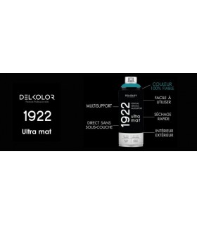 Delkolor 1922 peinture multi-support aérosol mat 400 ml