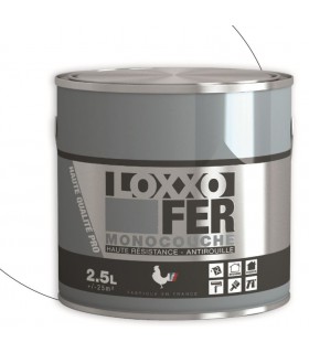 Loxxo Peinture Fer Antirouille - Monocouche - Haute Résistance - Intérieur & Extérieur