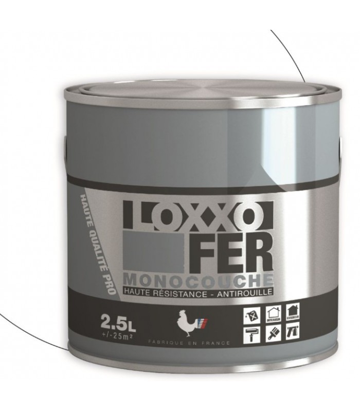 Loxxo Peinture Fer Antirouille - Monocouche - Haute Résistance - Intérieur & Extérieur
