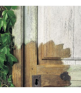 Owatrol Gel Décapant à l'Eau Dilunett