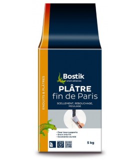 Plâtre fin de Paris