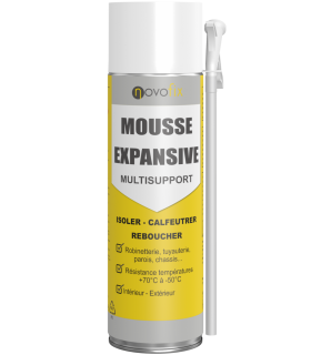 Mousse expansive Multi-supports 1C