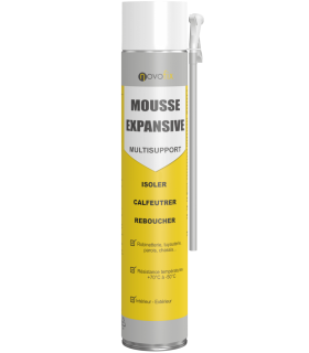 Mousse expansive Multi-supports 1C
