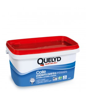 Colle intissés Quelyd 5KG