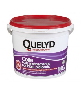 Colle tous revêtements spéciale plafonds 6KG