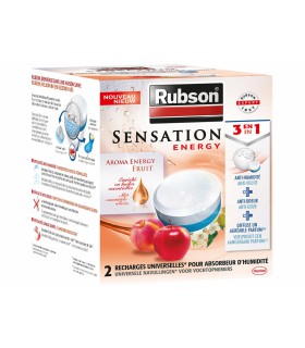 Rubson 2 recharges absorbeur d'humidité Sensation Energy fruit