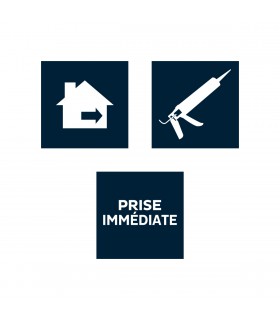 Bostik Colle Fixation Plinthes Blanc 290ml