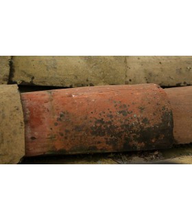 Sika Peinture Imperméable anti-fuites Toitures inclinées