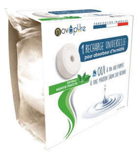 Recharge galet pour absorbeur d'humidité 500g x1 Menthe