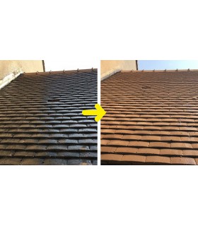 Anti-M Guard 24 Traitement curatif et préventif anti-mousse anti dépôt vert