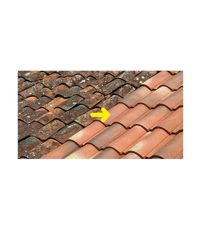 Anti-M Guard 24 Traitement curatif et préventif anti-mousse anti dépôt vert