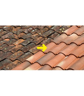 Rénov'Guard Express Nettoyant façades concentré surpuissant tous matériaux