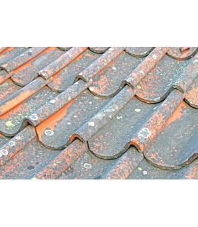 Anti M Guard 2 en 1 concentré nettoyant fongicide hydrofuge terrasses toitures façades